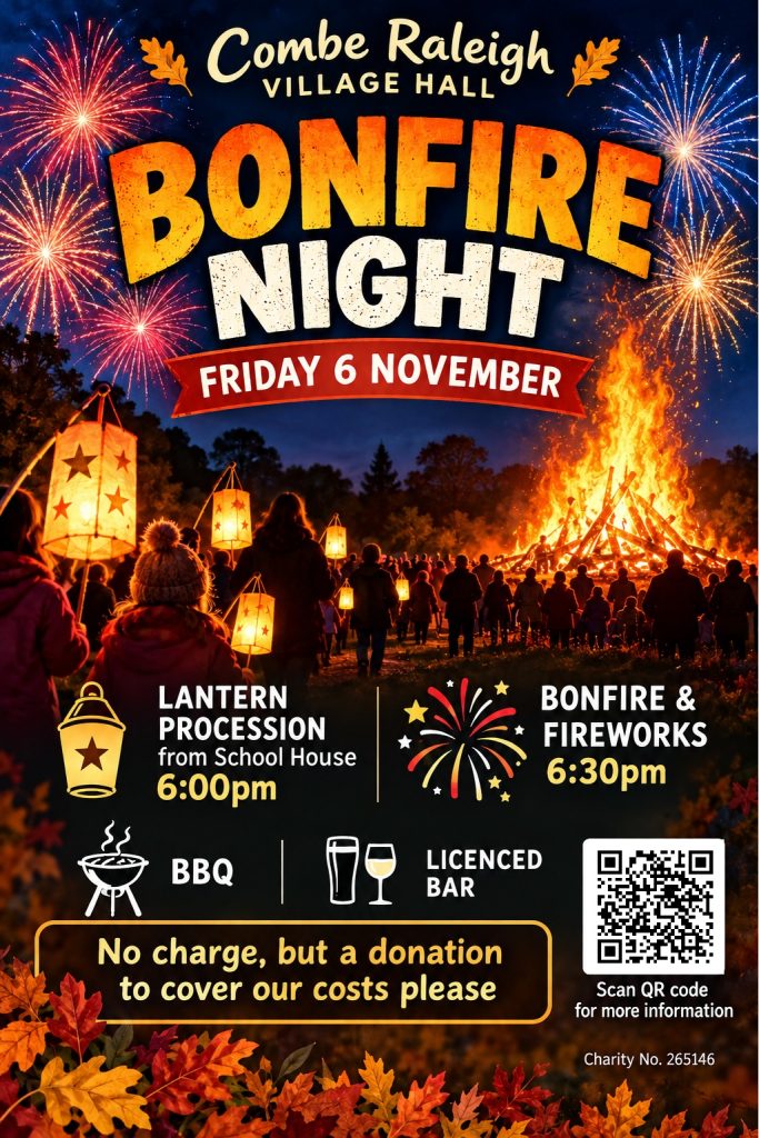 Bonfire Night @ Village Hall